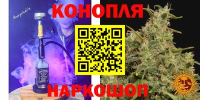 прущие крисы Славгород
