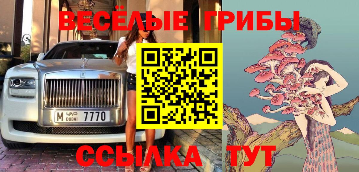 Галлюциногенные грибы Psilocybe Челябинск