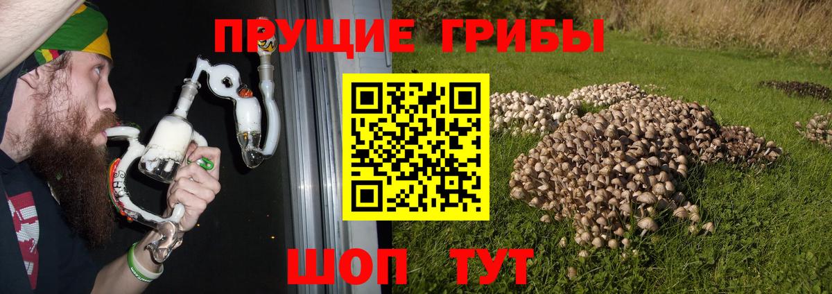 Псилоцибиновые грибы мицелий  Вход с VPN  Галлюциногенные грибы GOLDEN TEACHER  Челябинск 